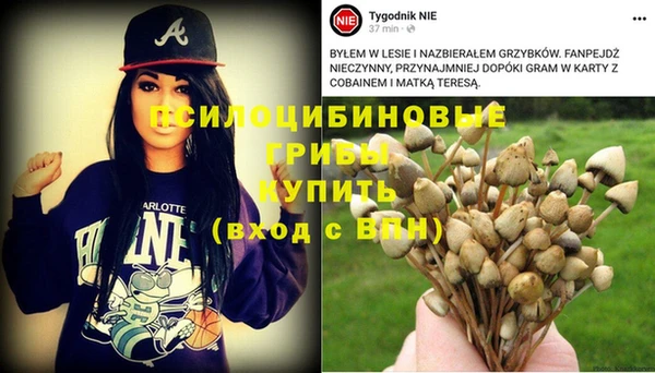 соль ск Алексеевка