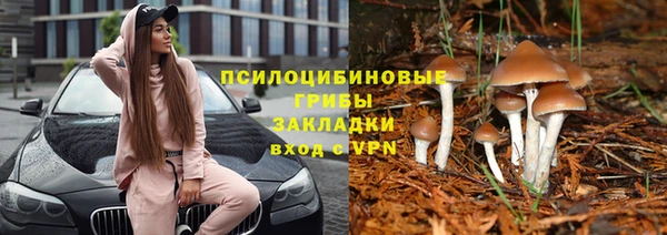 соль курить ск Алексин