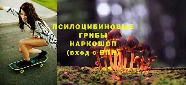 соль ск Алексеевка