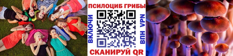 Псилоцибиновые грибы Cubensis  Полярные Зори 
