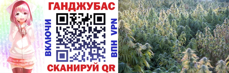 mega   что такое   Полярные Зори  Каннабис White Widow 